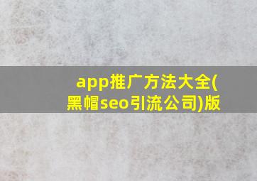 app推广方法大全(黑帽seo引流公司)版