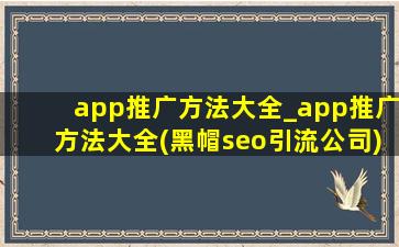 app推广方法大全_app推广方法大全(黑帽seo引流公司)版