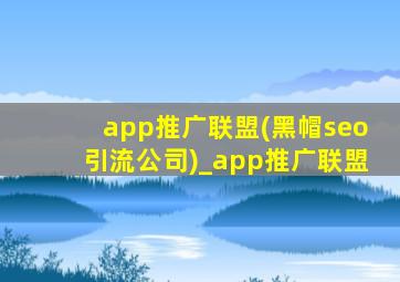 app推广联盟(黑帽seo引流公司)_app推广联盟