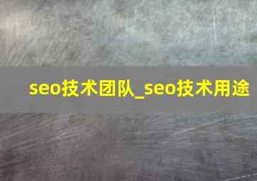 seo技术团队_seo技术用途