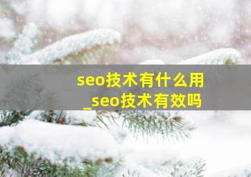 seo技术有什么用_seo技术有效吗