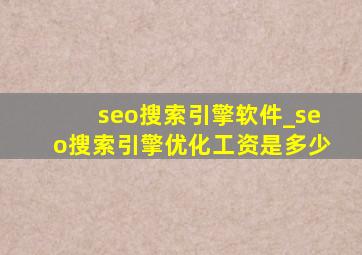 seo搜索引擎软件_seo搜索引擎优化工资是多少