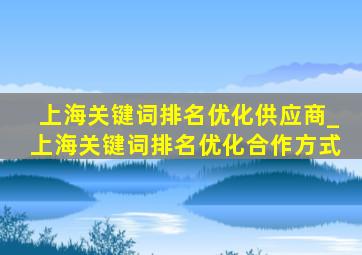 上海关键词排名优化供应商_上海关键词排名优化合作方式