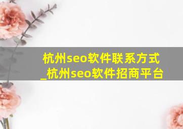 杭州seo软件联系方式_杭州seo软件招商平台