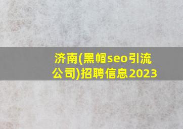 济南(黑帽seo引流公司)招聘信息2023