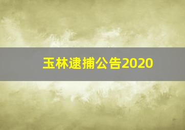 玉林逮捕公告2020