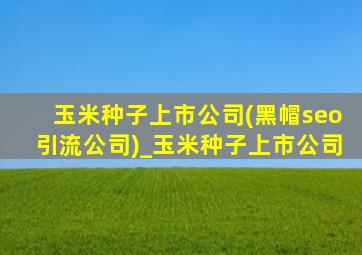 玉米种子上市公司(黑帽seo引流公司)_玉米种子上市公司