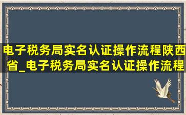 电子税务局实名认证操作流程陕西省_电子税务局实名认证操作流程