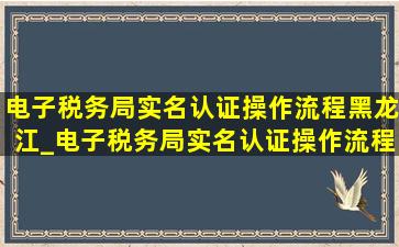 电子税务局实名认证操作流程黑龙江_电子税务局实名认证操作流程