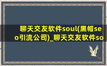 聊天交友软件soul(黑帽seo引流公司)_聊天交友软件soul