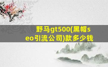 野马gt500(黑帽seo引流公司)款多少钱